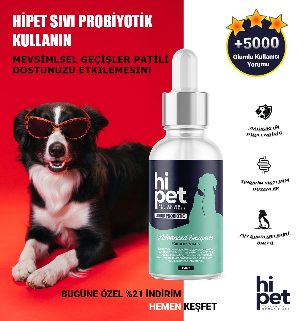 Görsel Tasarım - 2